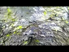 ক্রলার টেনচলেস মেশিন ভাড়া সিসিটিভি পাইপলাইন পরিদর্শন মেরামত ফিক্সিং পিন